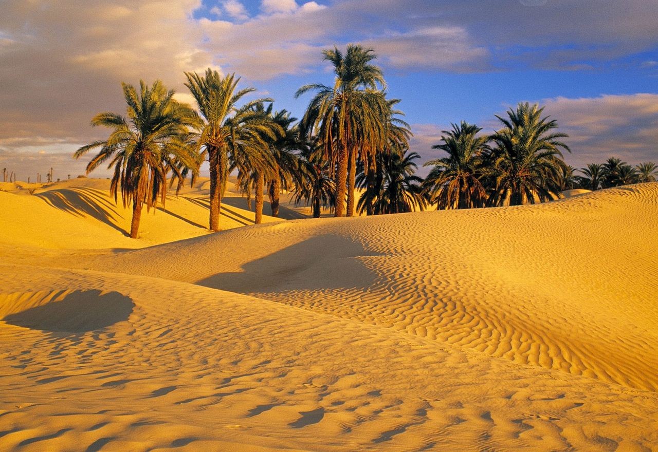 Экскурсии в Тунисе или что нужно знать во время отдыха в 2014 году