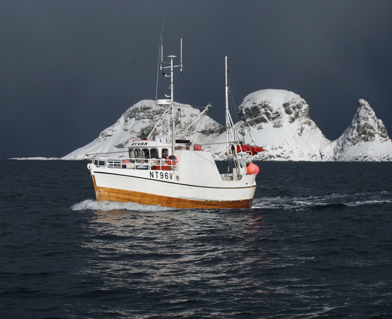 морская рыбалка в норвегии фото
